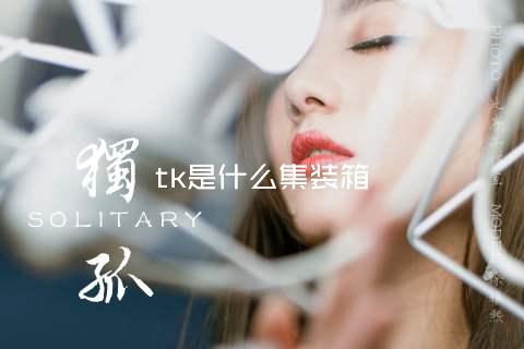 tk是什么集装箱